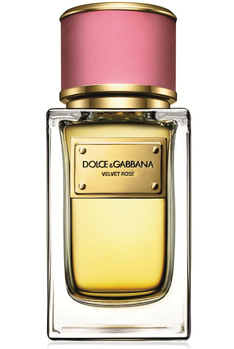 best selling dolce gabbana perfume|dolce gabbana perfume women reviews.